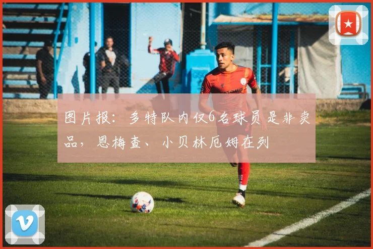 图片报：多特队内仅6名球员是非卖品，恩梅查、小贝林厄姆在列